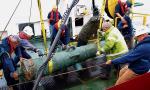 Moment wydobycia  spiżowego działa z brytyjskiego okrętu wojennego HMS Victory