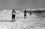 Narciarze na wycieczce na Śnieżkę w 1950 roku