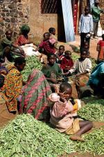 W Burundi uprawia się maniok, sorgo, kawę, herbatę i banany
