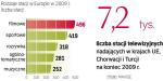 Choć w ubiegłym roku najszybciej przybywało kanałów sportowych, w UE najwięcej jest wciąż stacji filmowych. ∑