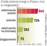 Elektrownie wodne dostarczają najwięcej prądu ze źródeł odnawialnych. Mogłyby jednak kilka razy więcej. 