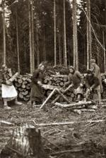 Kobiety pracujące przy wyrębie lasu, okolice Swierdłowska, 1940 r.