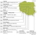 Branża jest jednym z liderów nowych inwestycji. Wymusza  je m.in. stan linii i rosnące zapotrzebowanie na prąd.  Nie bez znaczenia jest także polityka energetyczna UE. 