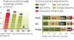 Zgodnie z polityką energetyczną Polski węgiel brunatny  w 2030 roku ma pokrywać 21 procent zapotrzebowania krajowej energetyki. Eksploatowane obecnie złoża wyczerpią się w ciągu 30 lat. 
