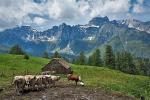 Oblicza Ziemi: Skaliste  cuda południowych Alp