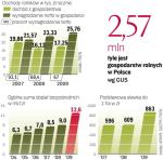 Polskie rolnictwo należy do najmniej efektywnych w Europie. Powodem tej sytuacji jest duże rozdrobnienie gospodarstw. 