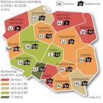 Produkcja sprzedana przemysłu w cenach stałych w Polsce  była ogółem o 3,2 proc. mniejsza niż w 2008 r. 