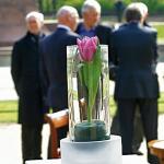 20 lat trwały prace nad stworzeniem odmiany tulipana Preludium Chopina  