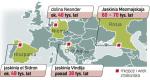 Naukowcy analizowali próbki pobrane z trzech kości znalezionych w jaskini Vindija. Uzupełnili to materiałem z Hiszpanii, Niemiec i Rosji. DNA badano w sterylnych pomieszczeniach. 