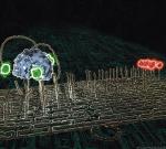 „Molekularny pająk” – nanorobot (oznaczony kolorem zielonym) wędruje po chodniku z DNA. Cel podróży jest oznaczony na czerwono