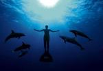 W Japonii ginie co roku 23 tysiące delfinów...
