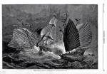 Chińscy piraci atakują statek handlowy, litografia według obrazu Juliana Olivera Davidsona, 1876 r. 
