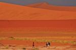 Pustynia Nama zajmuje 15 procent powierzchni Namibii