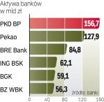 BGK jest piątym pod względem wysokości aktywów bankiem w Polsce.  W I kwartale tego roku  zarobił 100 mln zł.