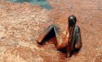 Pelikan, jedna z ofiar katastrofy ekologicznej w Zatoce Meksykańskiej 