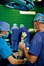  Lekarze z Trzebnicy wykonali w kwietniu 2006 roku pierwszy w Polsce przeszczep ręki.  Od tamtej pory zabieg w tej placówce przeszło jeszcze trzech pacjentów