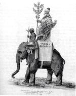 Hanno – słoń indyjski podarowany przez króla Manuela I papieżowi Leonowi X w 1514 r.