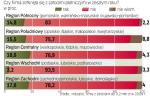 To najczęściej duże przedsiębiorstwa zwlekają z płatnościami.  Ale najbardziej firmom przeszkadzają niski popyt i wahania kursu. 