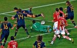 Powtórzony rzut karny dla Hiszpanii. Paragwajski bramkarz fauluje Cesca Fabregasa, próbującego dobić piłkę po strzale Xabiego Alonso 