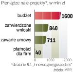 Fundusze na e-biznes. Rozdzielono już połowę budżetu na e-projekty. Pozostało jeszcze ponad 700 mln zł. 