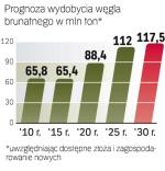 Potencjał polskich złóż jest bardzo duży. Jednak do ich wykorzystania niezbędne są szybkie decyzje polityczne, bo cykl inwestycyjny w tej branży trwa przynajmniej kilka lat. 