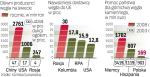 Polska ma 1,25 proc. udziału w produkcji węgla kamiennego  na świecie. Opiera się na nim ponad 90 proc. naszej energetyki.