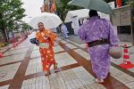  Jak naprawdę wygląda życie w Japonii? Fundacja Sto Pociech zna odpowiedź