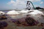 BP nadal nie zatamował wycieku ropy  w Zatoce Meksykańskiej. W pracach przeszkodził zbliżający się do zatoki tropikalny cylkon ap