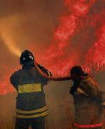 Obwód riazański  jest jednym  z najbardziej dotkniętych przez pożary 