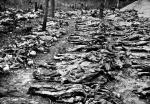 Ekshumacja w lesie katyńskim (1943)