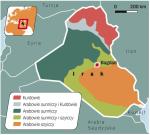 Sytuację zaostrzają konflikty pomiędzy Arabami i Kurdami  oraz między muzułmanami szyitami i sunnitami 