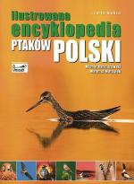 Ilustrowana encyklopedia ptaków Polski Carta Blanca Warszawa 2010   s.  351