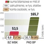 Santander i BNP Paribas mają niewielki udział w polskim rynku. Przejęcie BZ WBK  przyniosłoby skokowy wzrost.