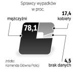 Panie jeżdżą bezpieczniej. W 2008 r. najczęściej sprawcami wypadków byli mężczyźni w wieku od  20 do 29 lat. 