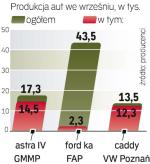 Fiat zmniejszy w tym roku produkcję. Wróci do poziomu sprzed dwóch lat, gdy rynkiem nie sterowały dopłaty.