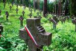 Cmentarz żołnierzy polskich poległych w 1920 r., na Antokolu w Wilnie