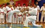 Pokazy dzieci z Fight Club Karate Kyokushin (trener Robert Wojnowski) uświetniły zakończenie WOM