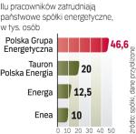 Zatrudnienie w branży