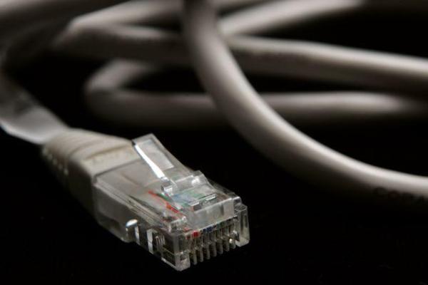 Końcówka RJ 45 kabla sieciowego