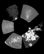  The first panoramic image of the comet probes sent from ESA / ESA / Rosetta / Philae / CIVA 