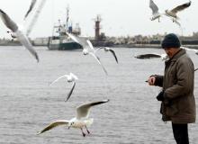 Dokarmianie ptaków w KołobrzeguBigger