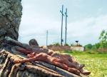 Dawny cmentarz katolicki w Porycku (dziś Pawliwka) z mogiłami zamordowanych Polaków