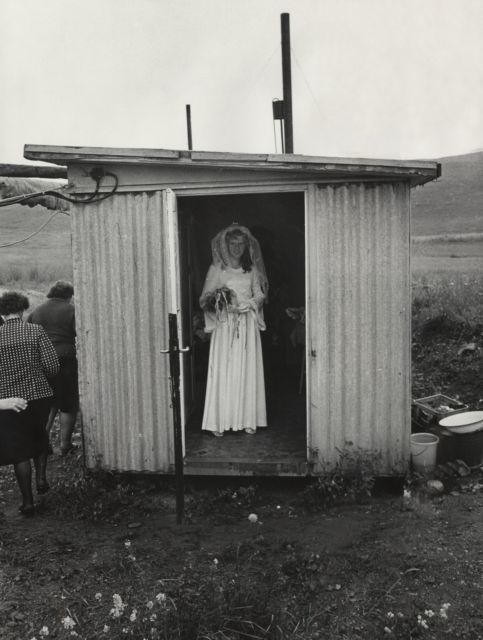 Cykl „Ruda się żeni”, 1974 r.