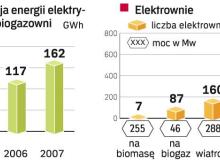 Wadą elektrowni na biogaz jest ich niska wydajność. Zaletą – łatwość pozyskania surowca. Dlatego będzie ich coraz więcejBigger