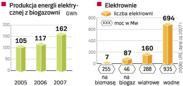 Wadą elektrowni na biogaz jest ich niska wydajność. Zaletą – łatwość pozyskania surowca. Dlatego będzie ich coraz więcej