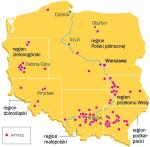 Mapa polskich winnic