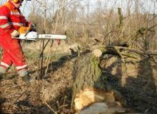 Bigger