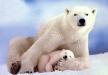 Polar, czyli ubranie z plastikowych butelek
