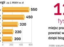 Biogazownie będą w uprzywilejowanej pozycji. Jeśli proponowane przez Ministerstwo Gospodarki zmiany w prawie energe- tycznym wejdą w życie, rozpocznie się boom w tej branży. Bigger