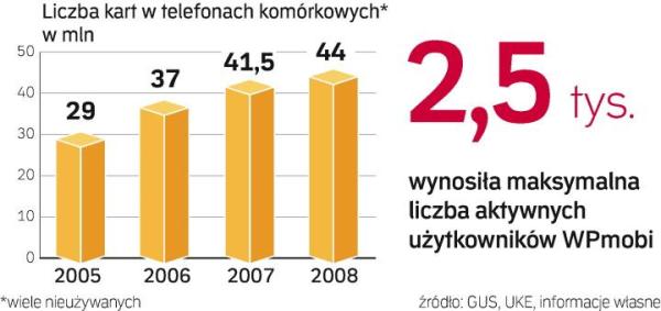 Operator Wirtualnej Polski zdobył śladowy udział w rynku. Niewiele lepiej powodzi się innym sieciom, z których żadna nie przekroczyła liczby 100 tys. aktywnych klientów. 